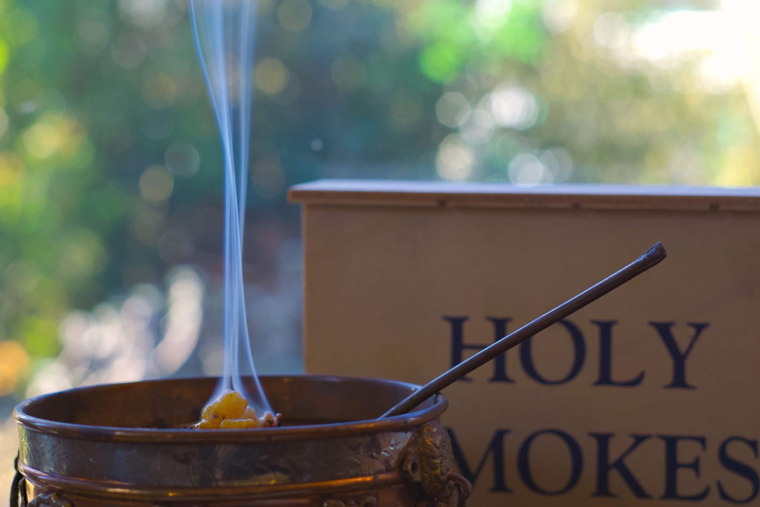 L'encens oliban, ce sage depuis la nuit des temps